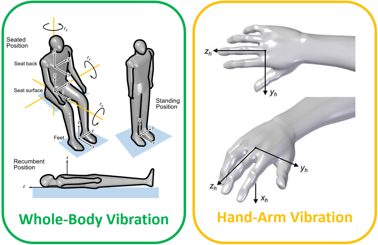 Correct position kept by participant during Whole Body Vibration